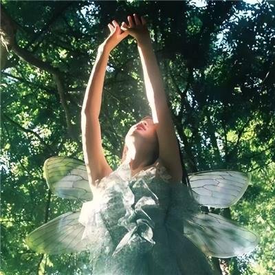 西方注视下