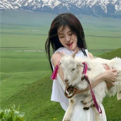 美人遇